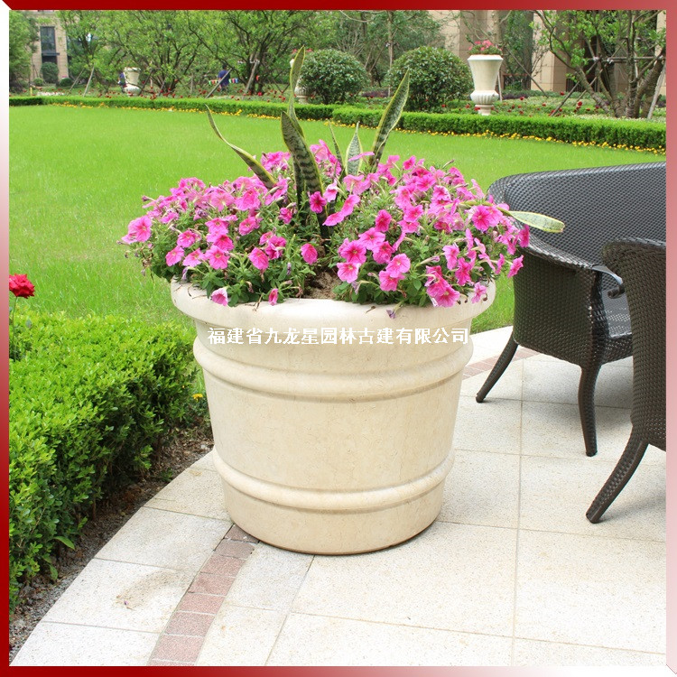 1616566815815120.jpg 埃及米黃花缽圖片